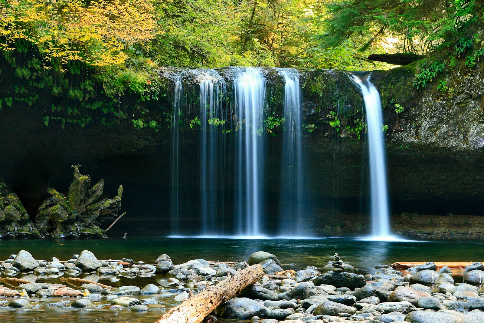 A waterfall cascading into a clear natural pool surrounded by forest